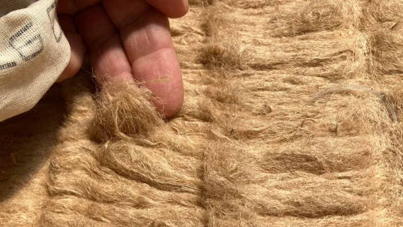 Gerissene Jute
